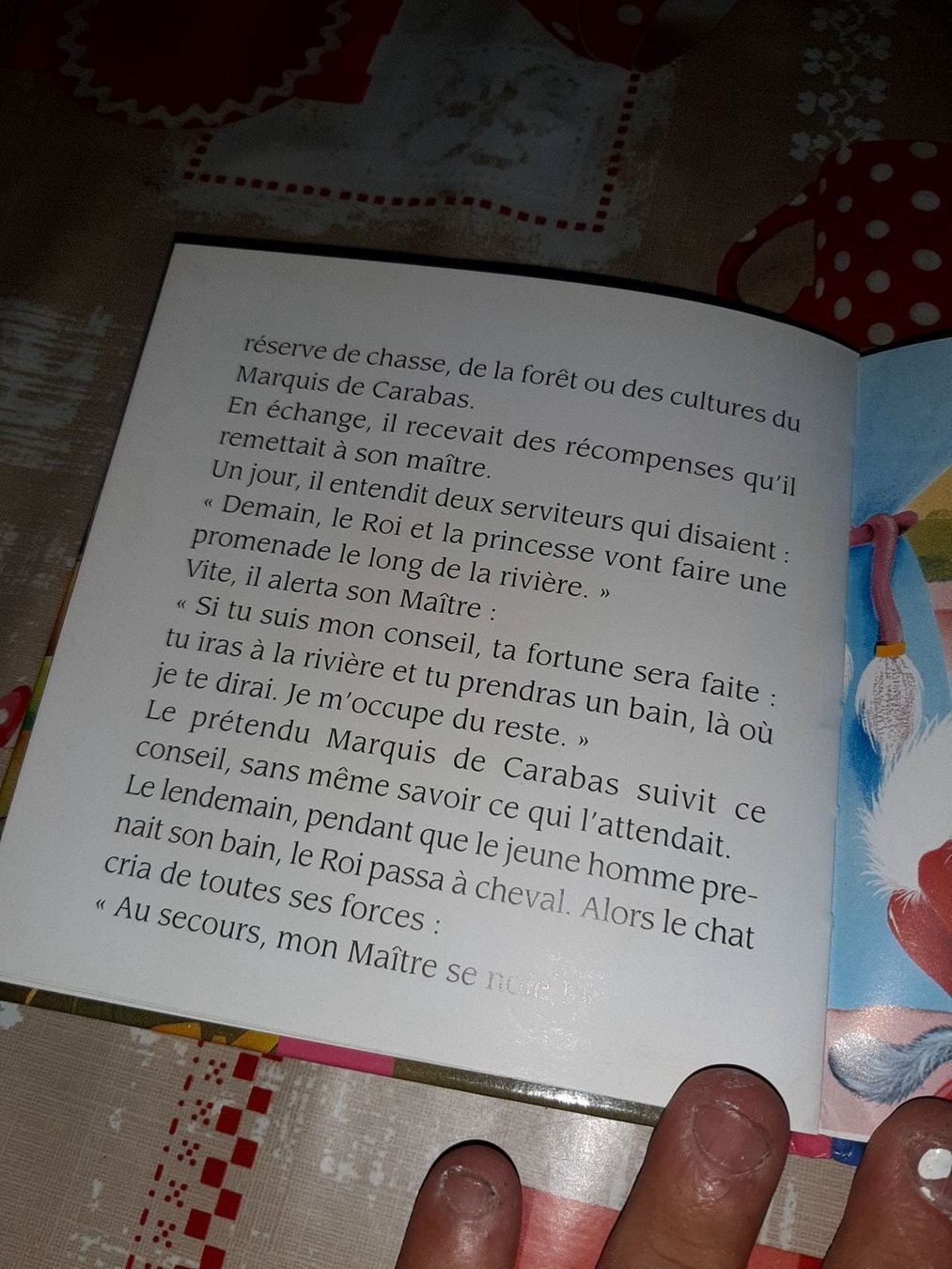 Libri: Le chat botte – Usato da Le locle venduto da juliensaran 3