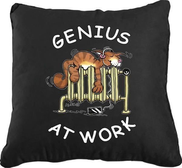 Kissen: Kissen - Genius At Work – Neu und originalverpackt aus Ennetbürgen von open24shop