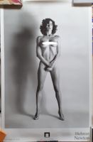Helmut Newton, "Big Nude III" , Castello die Rivoli 1994