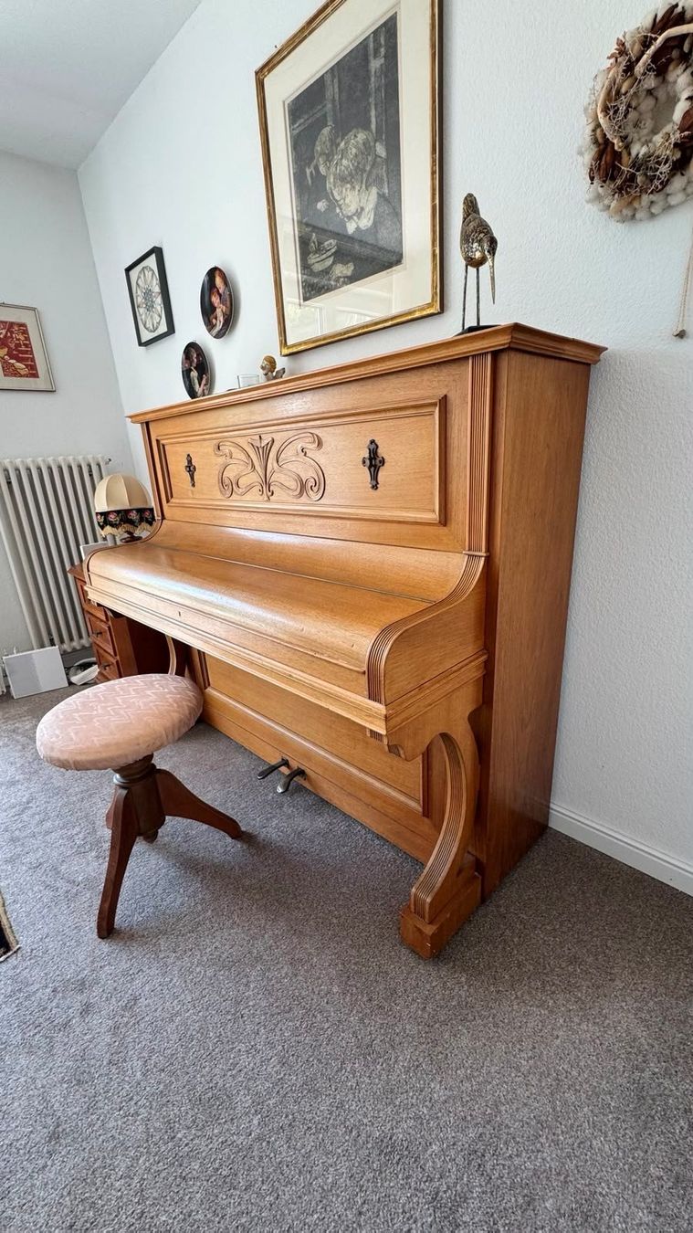 Schmidt-Flohr Musikinstrumente: Schweizer Klavier A. Schmidt-Flohr Bern – Gebraucht aus Oberrohrdorf von saraha1983 2