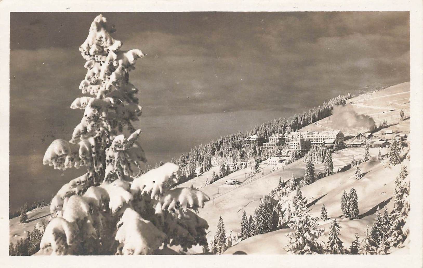 Cartoline postali: Rigi SZ Rigi Kaltbad von First – Usato da Biasca venduto da Blenio71