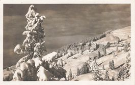 Rigi SZ Rigi Kaltbad von First