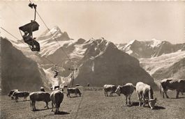 Grindelwald (BE) First Bahn mit Wetterhorn und Wellhorn