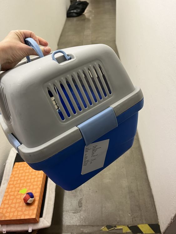 transportbox für Flugzeug IATA 6 kg katze | Kaufen auf Ricardo