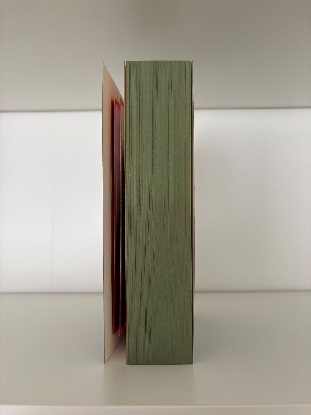 Libri: Belladonna - Karin Slaughter – Nuovo (secondo la descrizione) da Steffisburg venduto da elsa.catalina 3