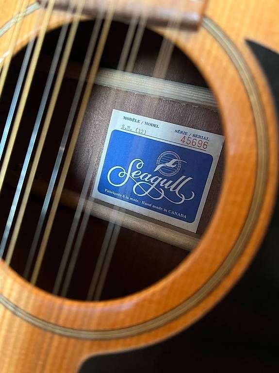 Musikinstrumente: Chitarra Acustica 12 corde Seagull – Gebraucht aus Lugano von gio_fw7s 1