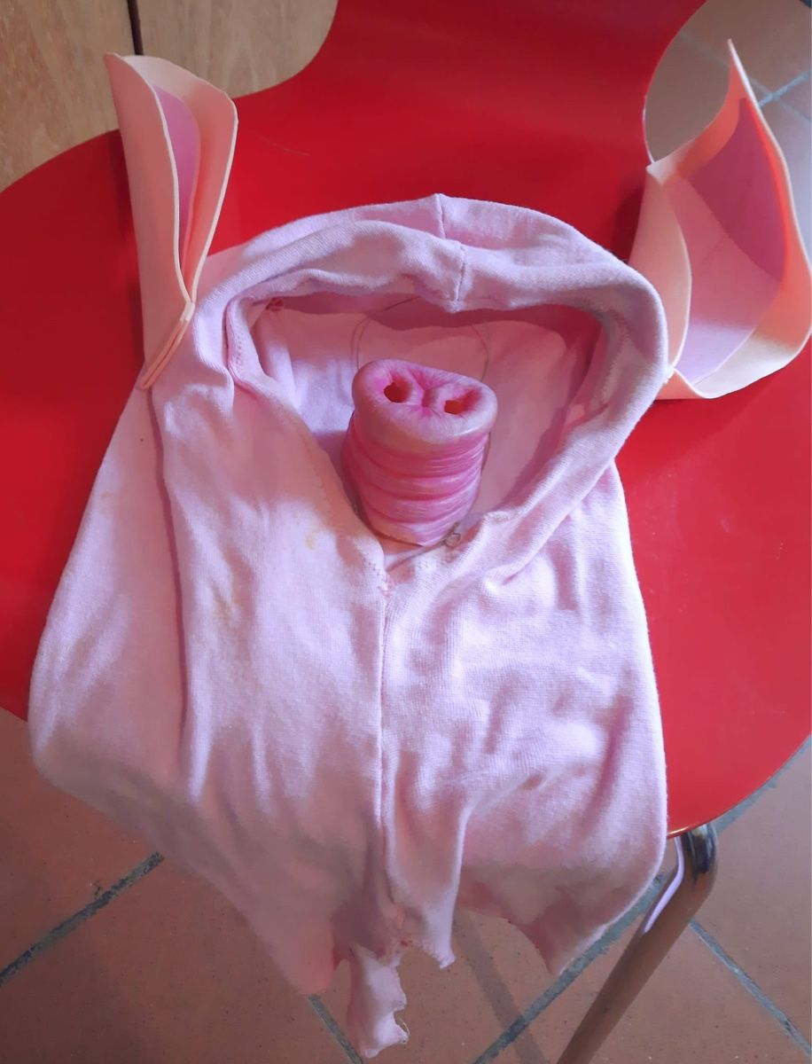 Costumi: Lustiges Fasnachtskostüm Schwein – Usato da Basel venduto da Tshabajuju 1