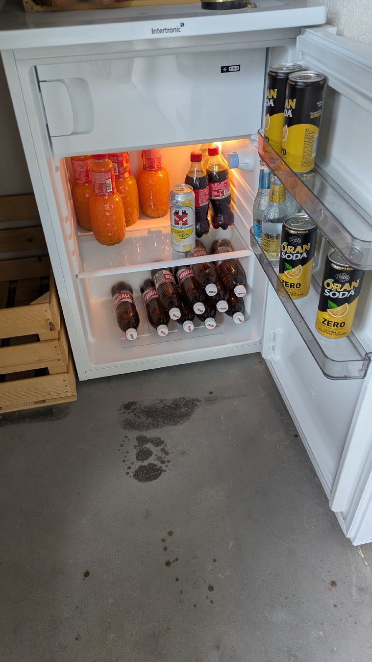 Frigoriferi: Intertronic Kühlschrank 113L – Usato da Steinen venduto da wal_v2ls 1