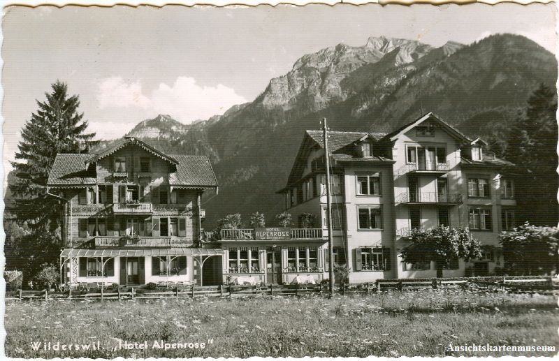 Cartoline postali: Wilderswil - Hotel Alpenrose + c1955 – Usato da Emmenbrücke venduto da teestube