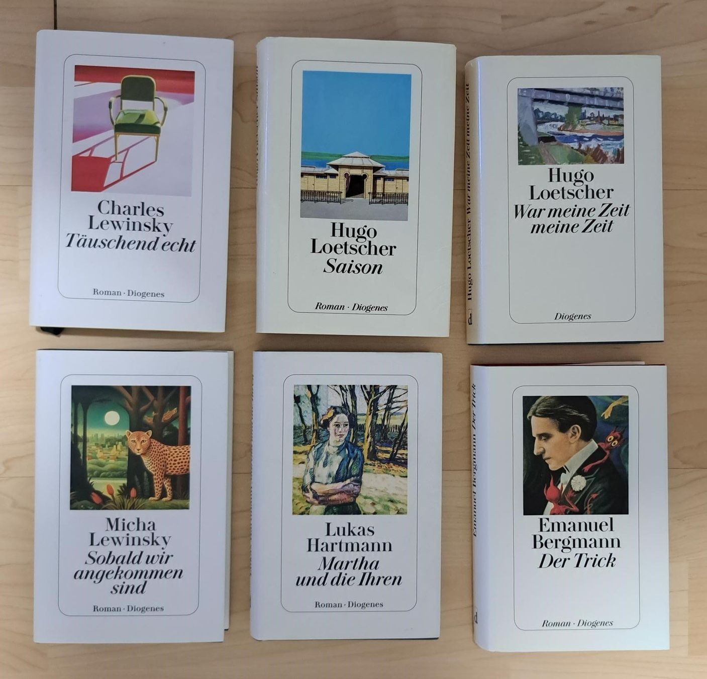 Libri: 6x Romane, Diogenes, gemischtes Bücherpaket – Usato da Basel venduto da Patiscat