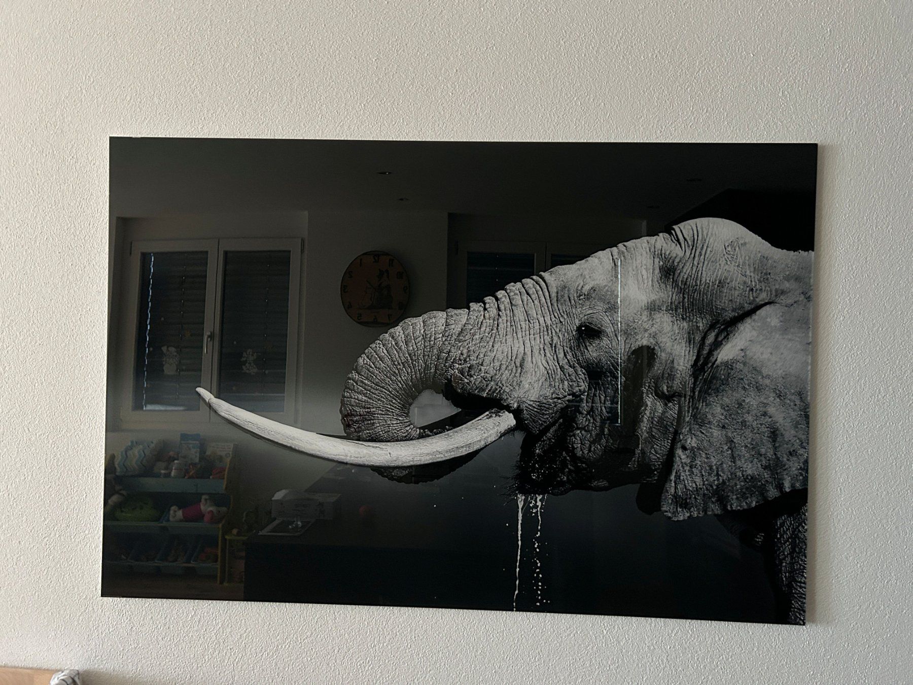Foto & Immagini: Bild Elefant Acrylglas – Nuovo e nell'imballaggio originale da Luthern venduto da haefliger81 1