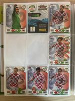 Panini Road to 2014 FIFA World Cup Brazil - Hrvatska