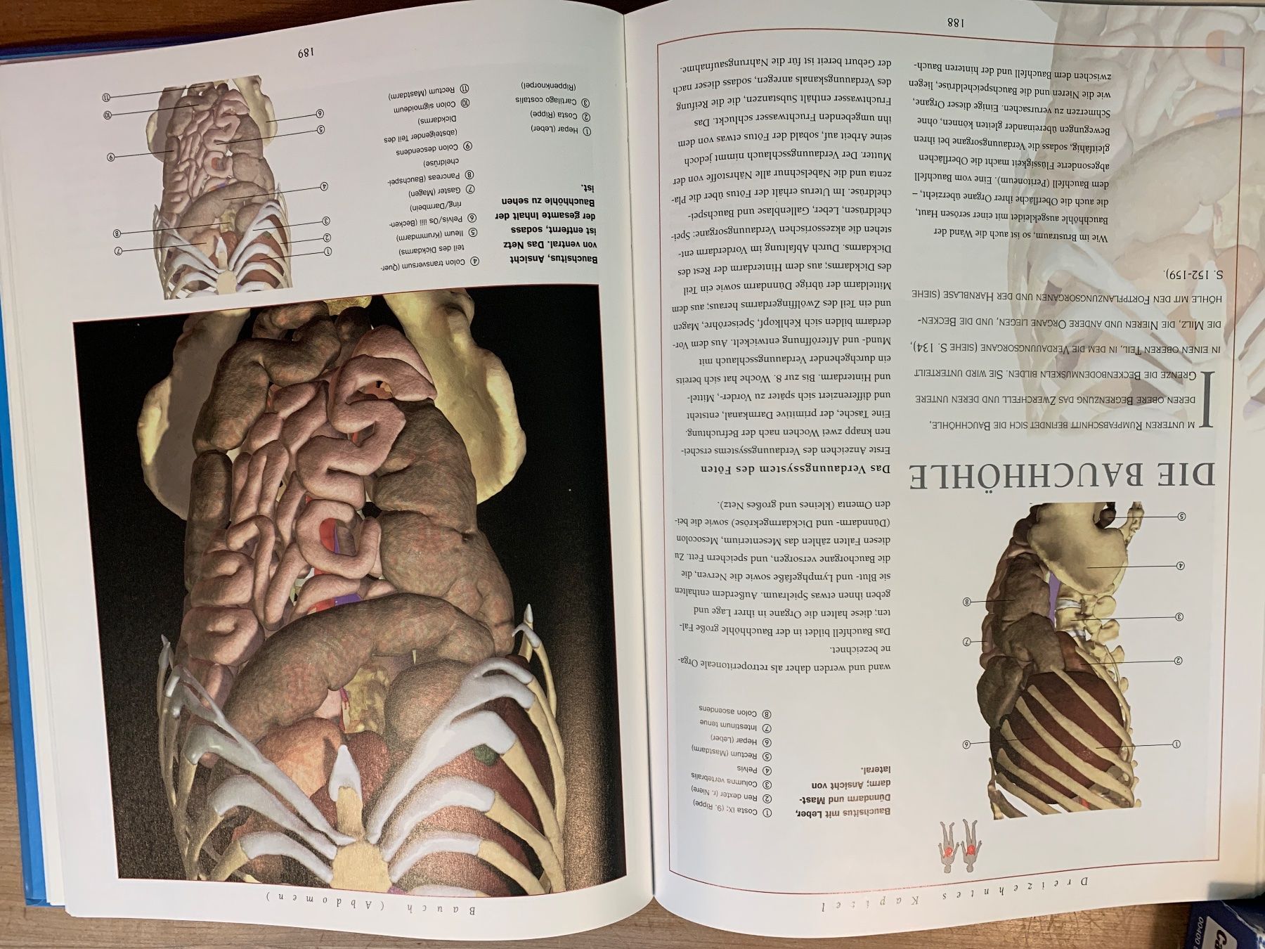 Bücher: Buch Anatomie Atlas – Gebraucht aus Neerach von Flomaja 2