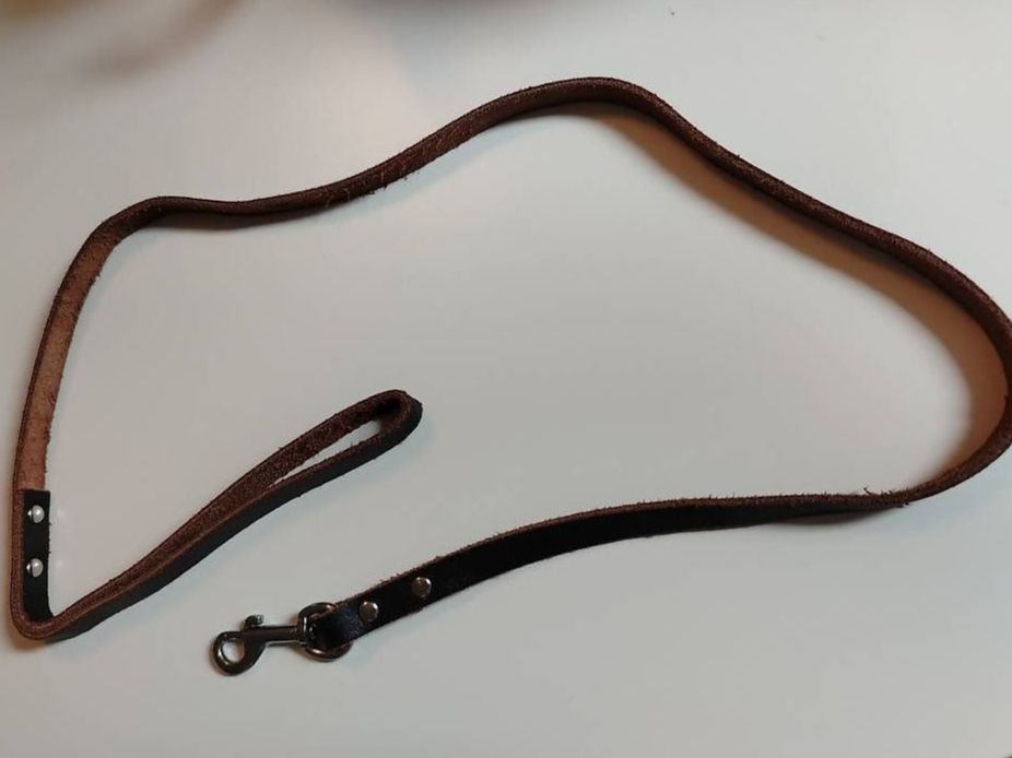 Guinzagli & Collari: Braune Hundeleine (Kunstleder) – Usato da Sissach venduto da ruminative
