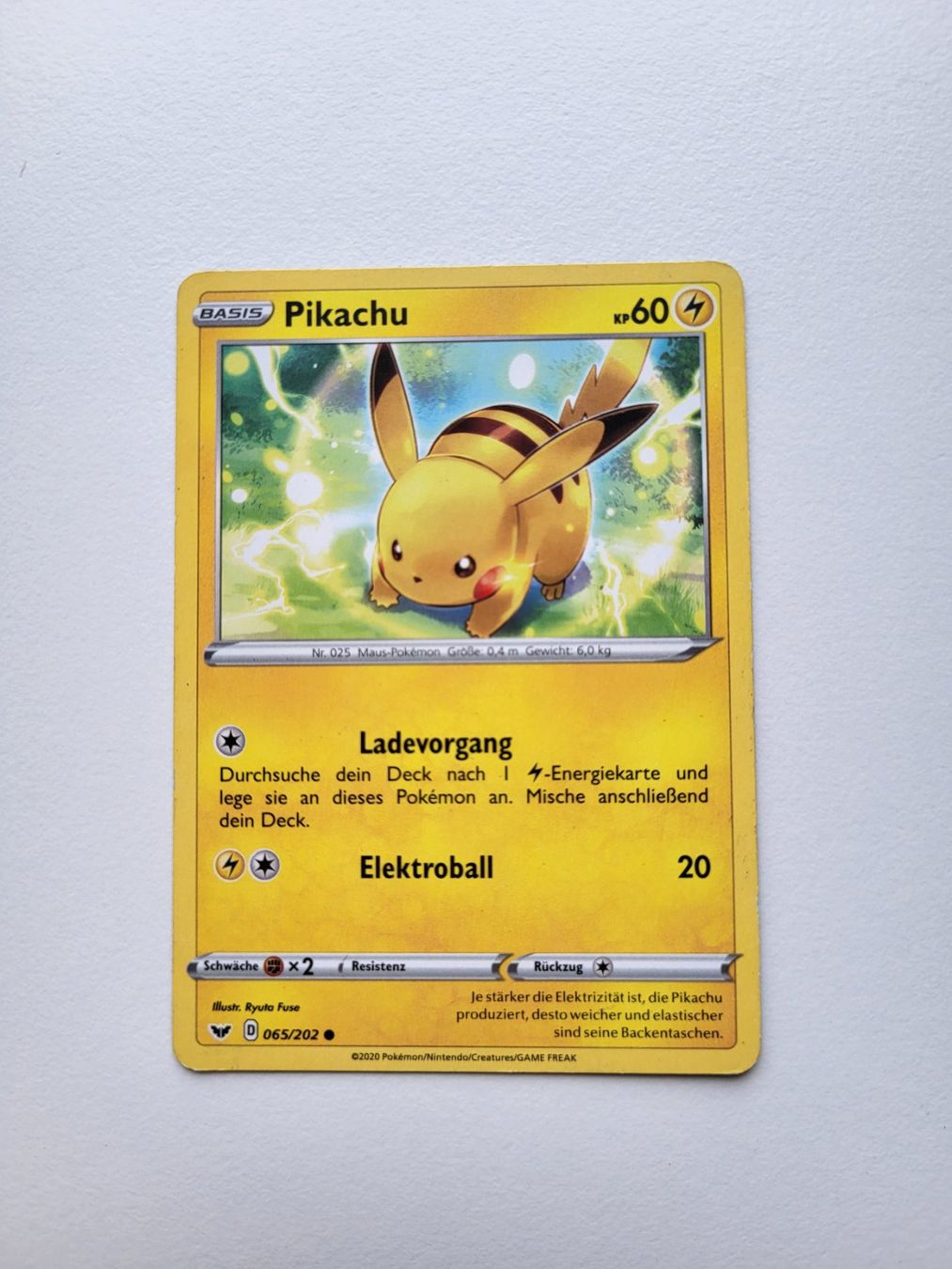 Pokémon Carte collezionabili: Pikachu (Sword & Shield 065/202) – Usato da Erlenbach ZH venduto da ram_mjn5