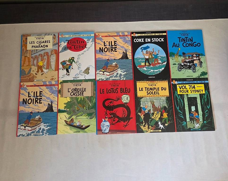 Fumetti: Un lot de 10 BD TIN TIN  – Usato da Genolier venduto da sun_hg7h