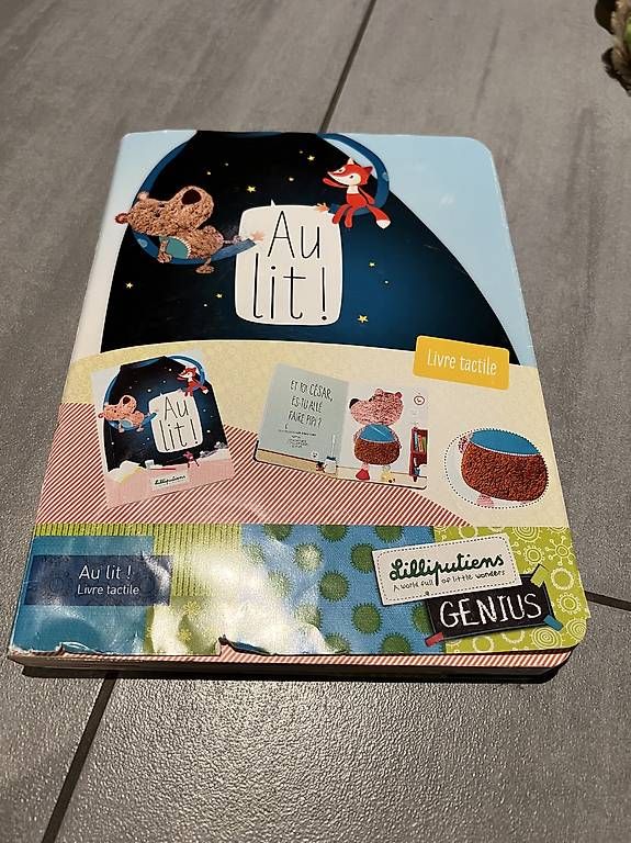 Fumetti: Rituel journée et dodo liliputiens  – Usato da St-Cierges venduto da Gw. 2