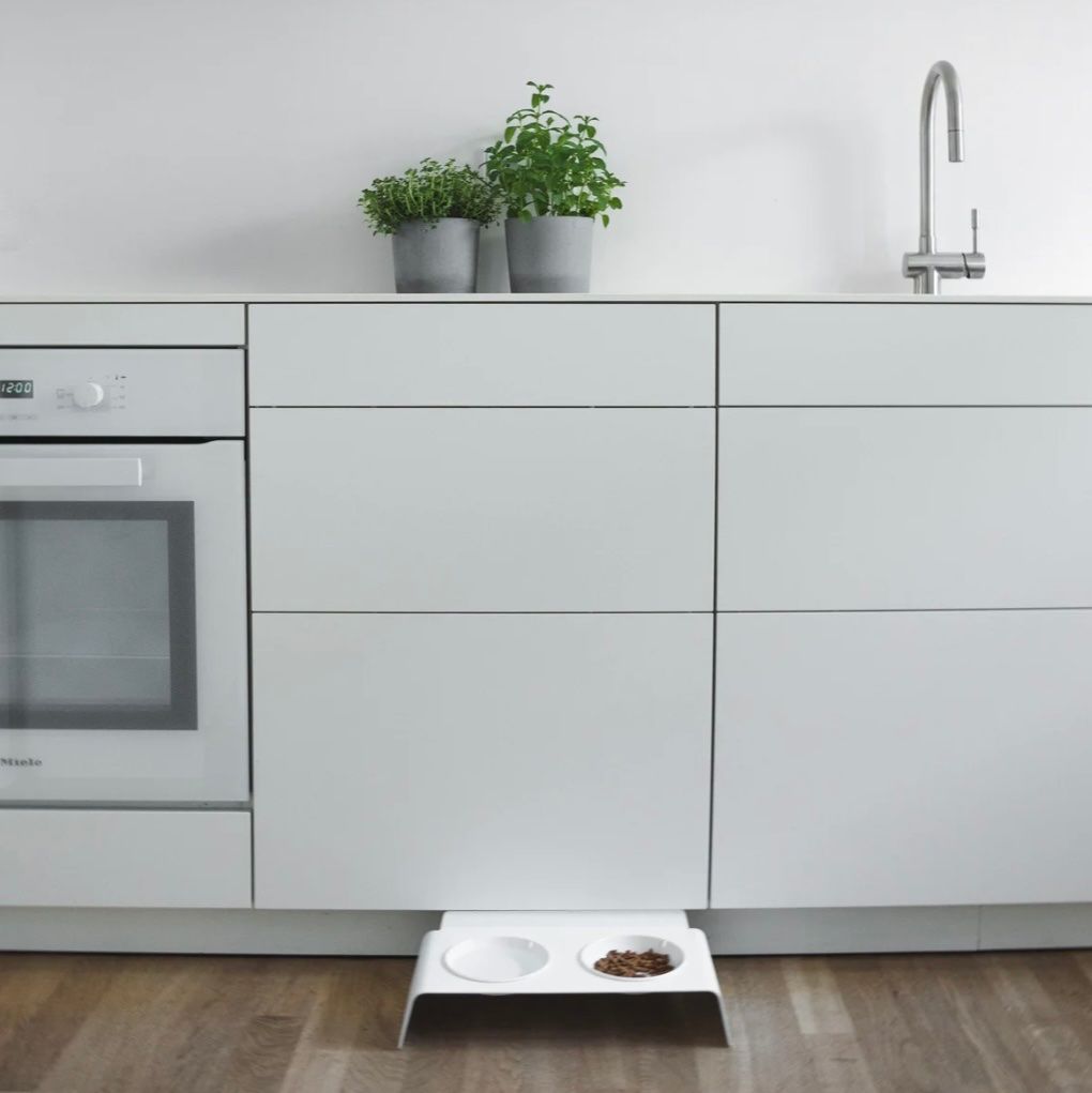Mangimi: Katze Futterstation & 2 Futterschalen – Nuovo (secondo la descrizione) da Zürich venduto da kitsune 1