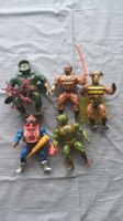 Masters of the universe Konvolut