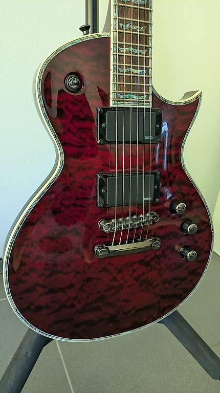 Instruments de musique: LTD EC1000 E-Gitarre – D'occasion à Aarau Rohr par Roemu01 1