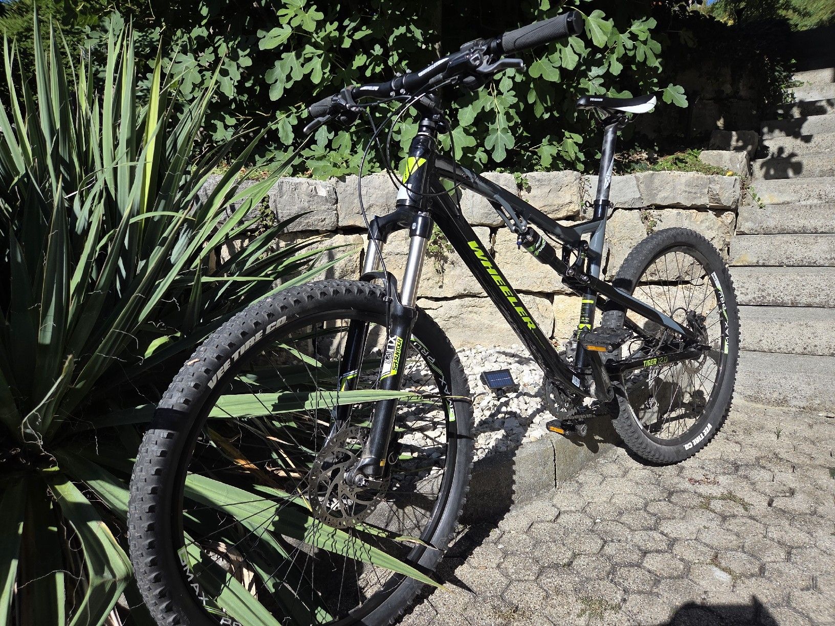 Wheeler Velos: MTB Wheeler Tiger 12 – Gebraucht aus Tenniken von Mrsush 1