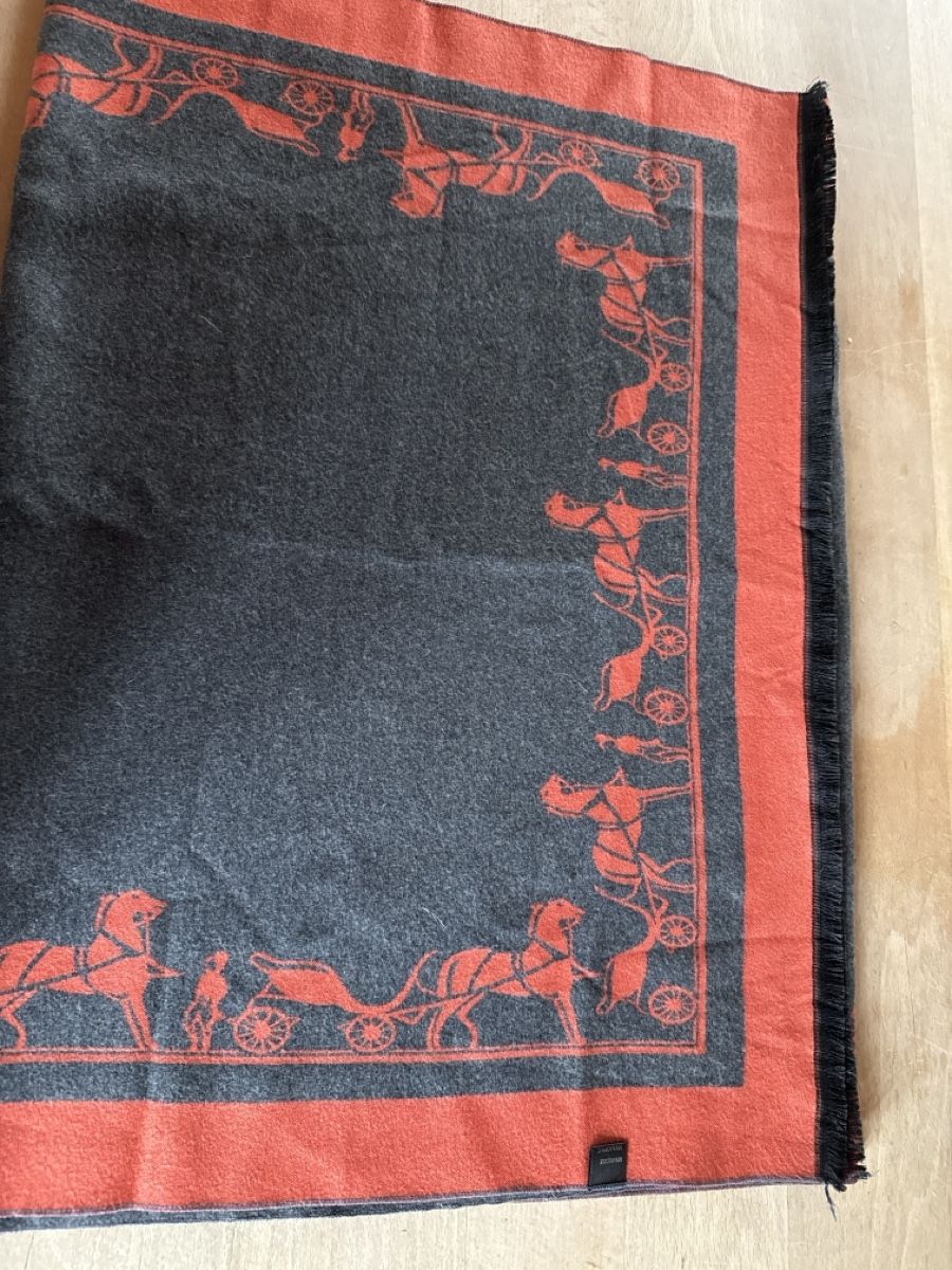 Foulards, Tücher & Schals: Schal – Gebraucht aus Dettighofen (Lengwil) von Dolol