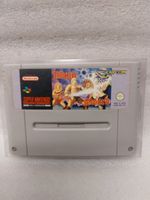 Magic Sword - PAL Nintendo (SNES)