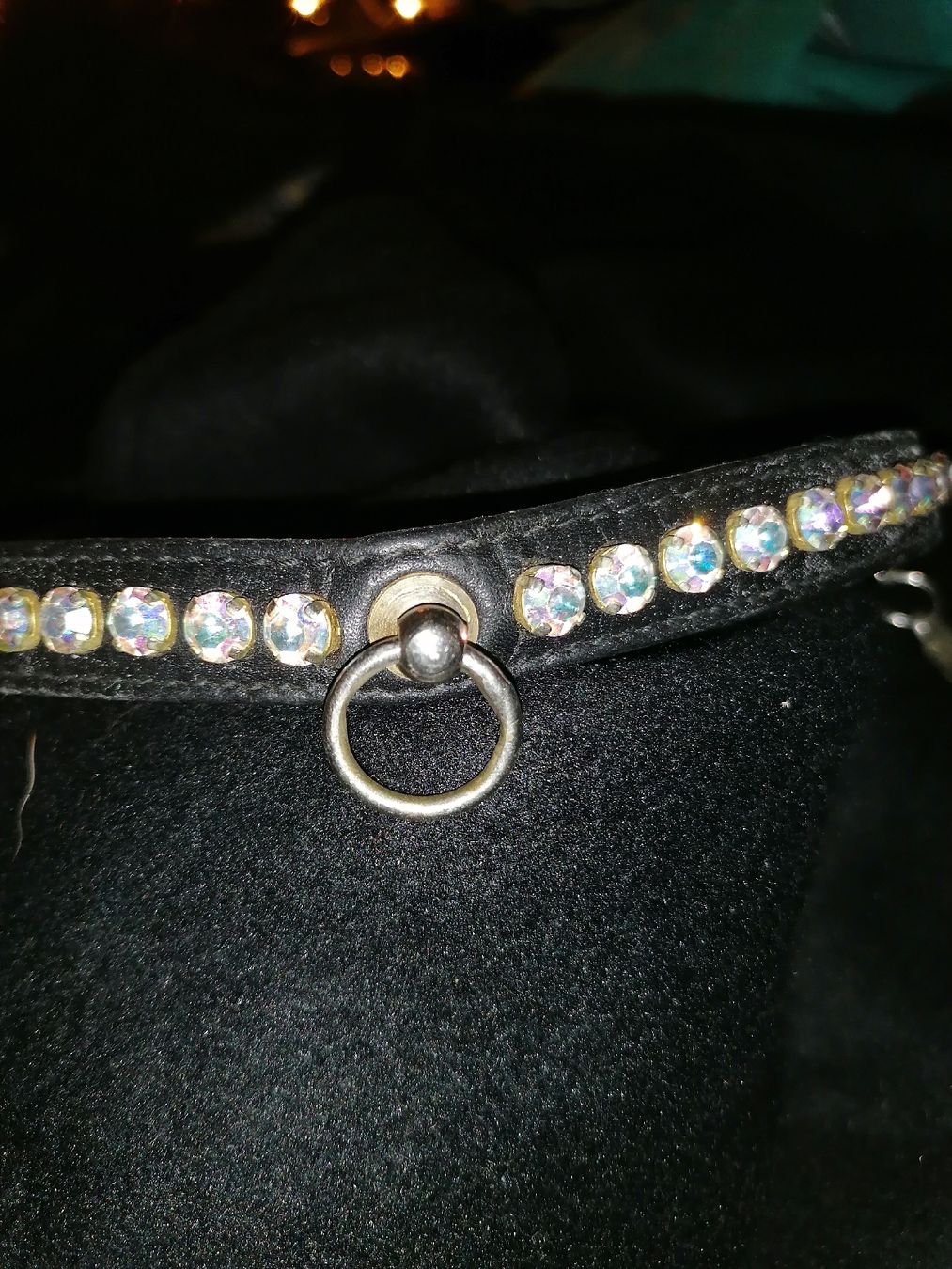 Guinzagli & Collari: Glitzerndes Halsband, Leder, Strass - auffälliger Blickfang! – Usato da Birrwil venduto da inf_2qrx 1