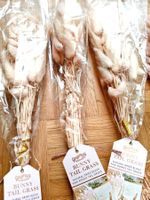Bunny Tails - Trockenblumen - 5er Set - zart Rosa - Neu!