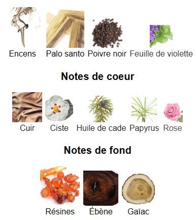 Tom Ford Profumi & Eau de Toilette: Ebene Fumé, Tom Ford - Echantillon 3ml, 5ml, 10ml – Nuovo (secondo la descrizione) da Riehen venduto da ced_gs5t 3