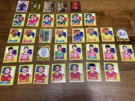 Panini Sticker WM 2026 Konvolut (162 Sticker)