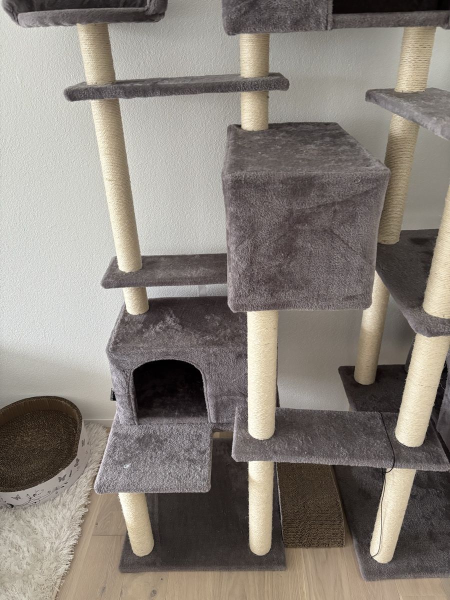 Tiragraffi: Kratzbaum Katzen 214cm grau – Usato da Lömmenschwil venduto da tmr_xx 4
