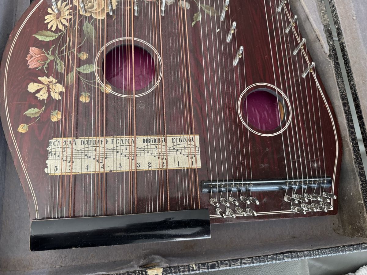 Strumenti musicali: Violin Zither antik – Usato da Zunzgen venduto da milesdavis76 2