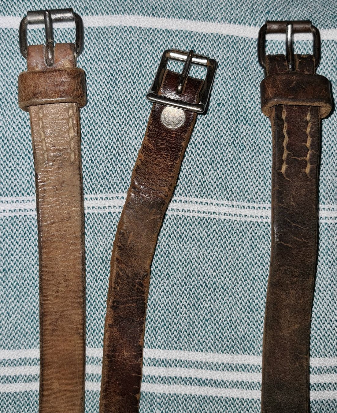 Briglie & Cavezze: Sangles / lot – Usato da Cortaillod venduto da signep 3