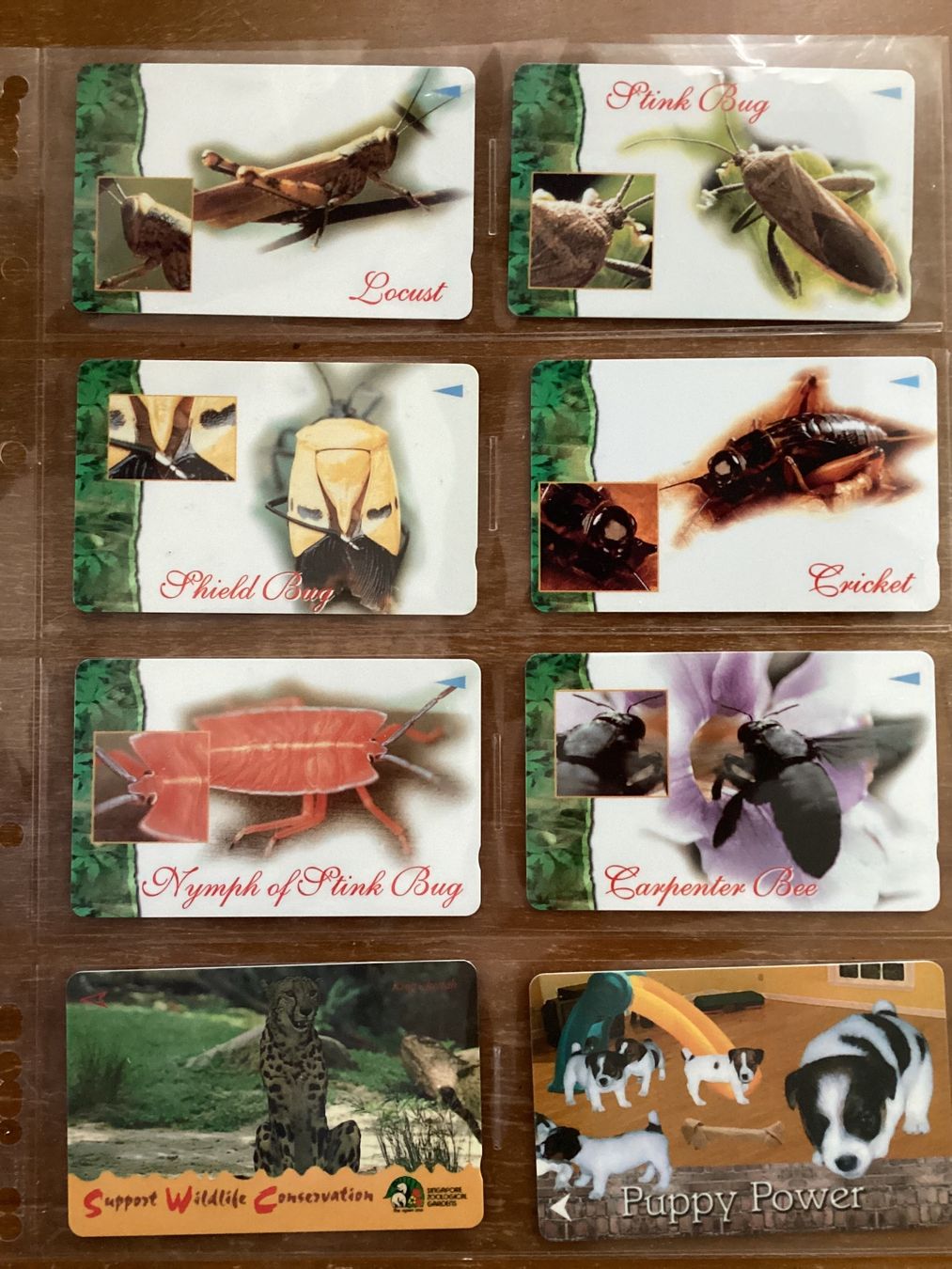 Cartes de téléphone: 8 Telefonkarten Singapur Tiere – D'occasion à Zürich par tol_b7c7
