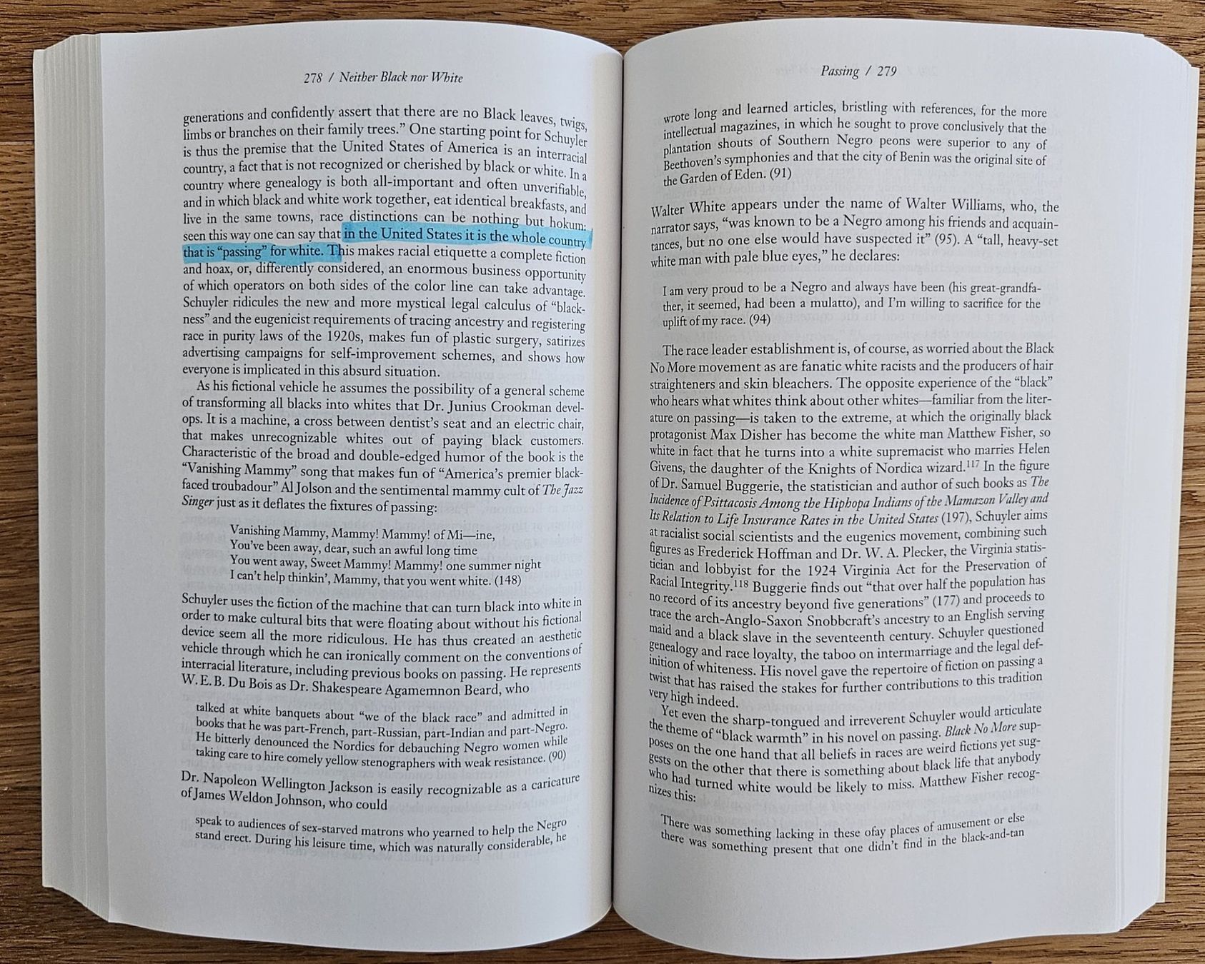 Bücher: Werner Sollers: Neither Black Nor White Yet Both – Gebraucht aus Schaffhausen von asyouwestley 5