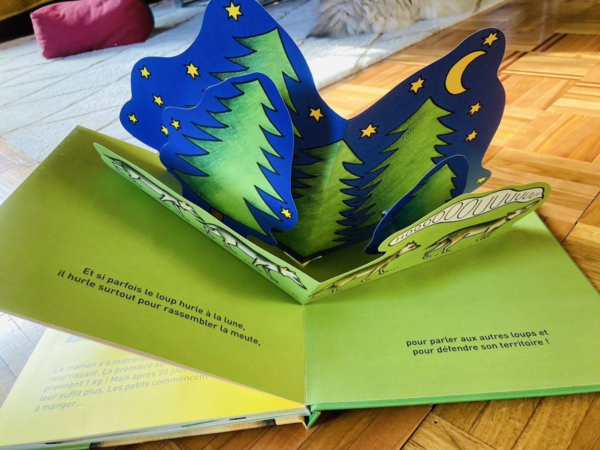 Bücher: Livre éducatif sur le loup – Neu und originalverpackt aus Ardon von hel_2sxp 1