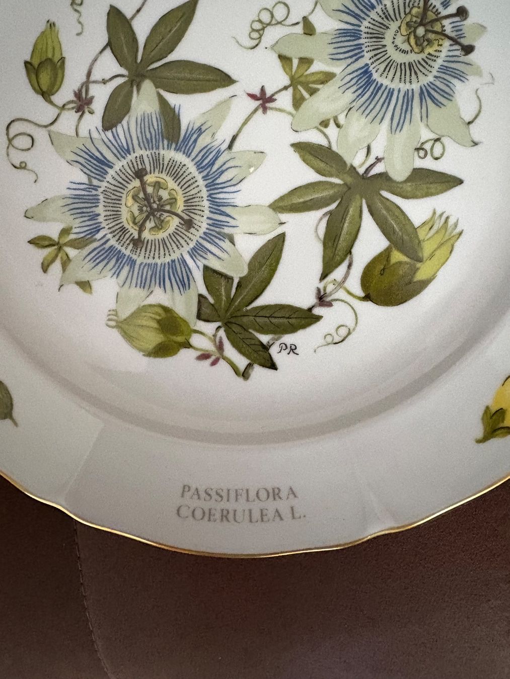 Siegfried Teller: Assiette Langenthal porcelain Botanique Siegfried collection – Gebraucht aus Crans  Montana von proff 1