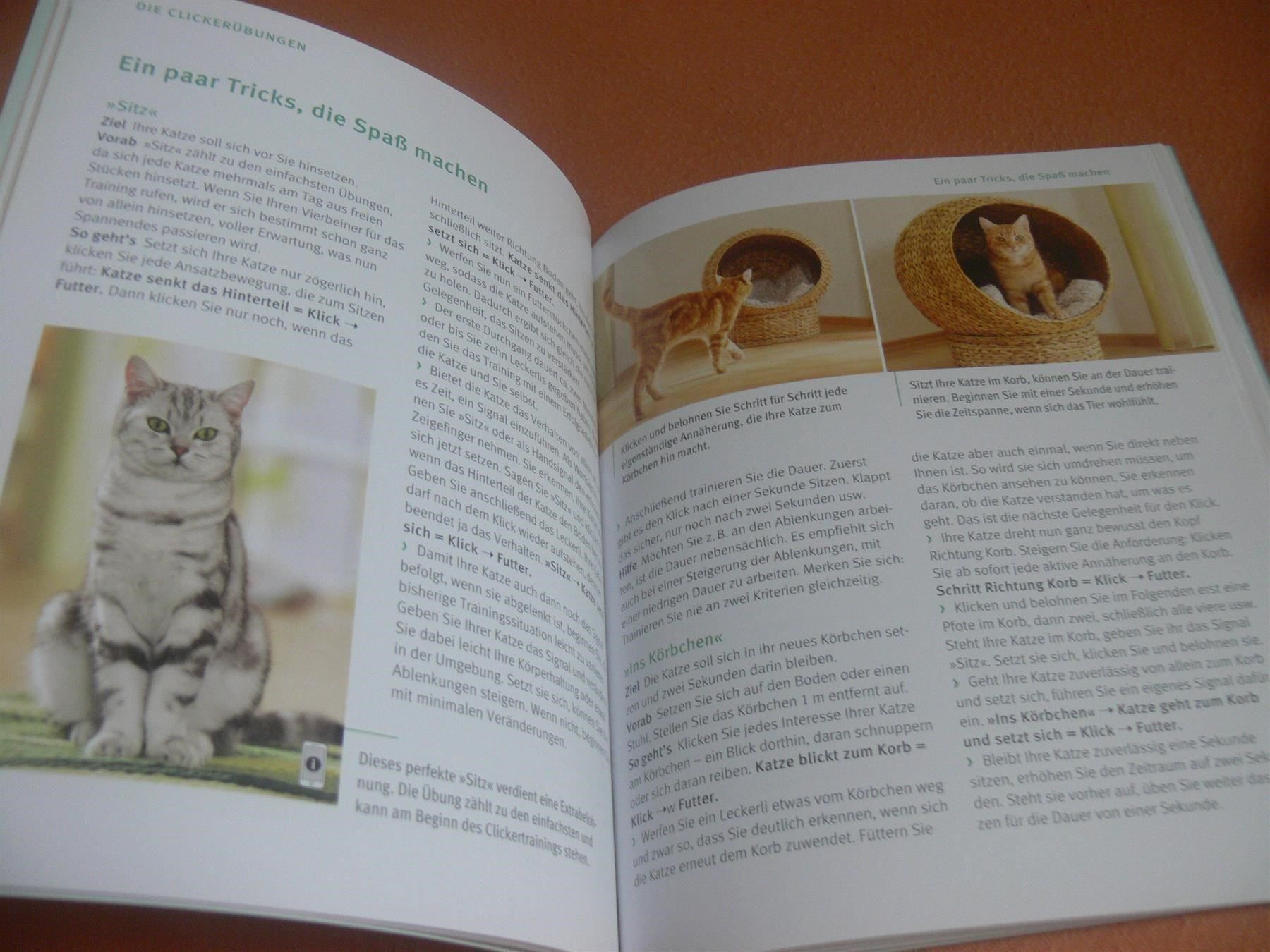 Libri: ° Katzen Clickertraining - So klappt der Trick ... / GU 2014 – Usato da Muttenz venduto da Negnuja 2