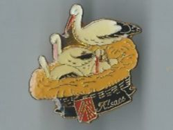 Storch Nes, Pin