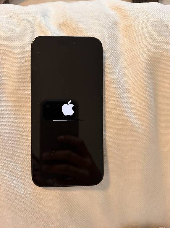 Telefoni cellulari / Smartphones: iPhone 15 Pro Max 512 GB – Usato da Adligenswil venduto da TST04 1