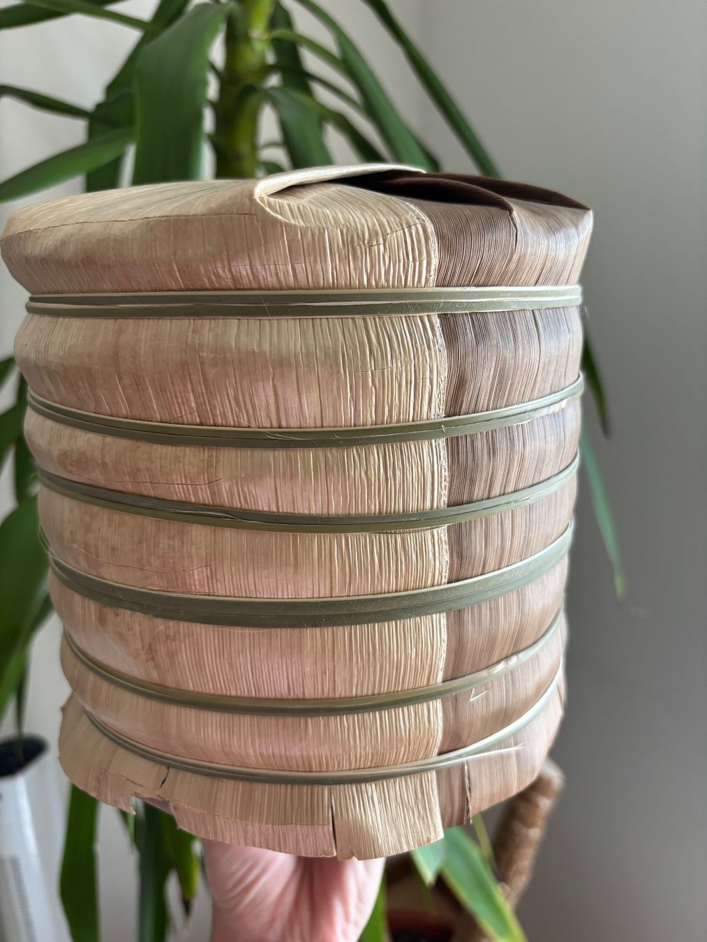 Lebensmittel & Spezialitäten: Grüner Tee Sheng Pu-Erh – Neu und originalverpackt aus Bern von ViksiBash