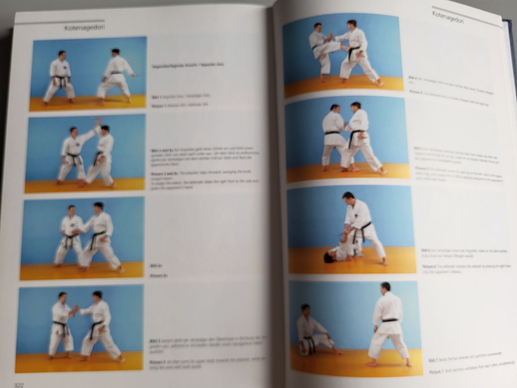 Libri: Wado Ryu Karate Buch von Roberto Danubio – Usato da Rifferswil venduto da Jchb 5