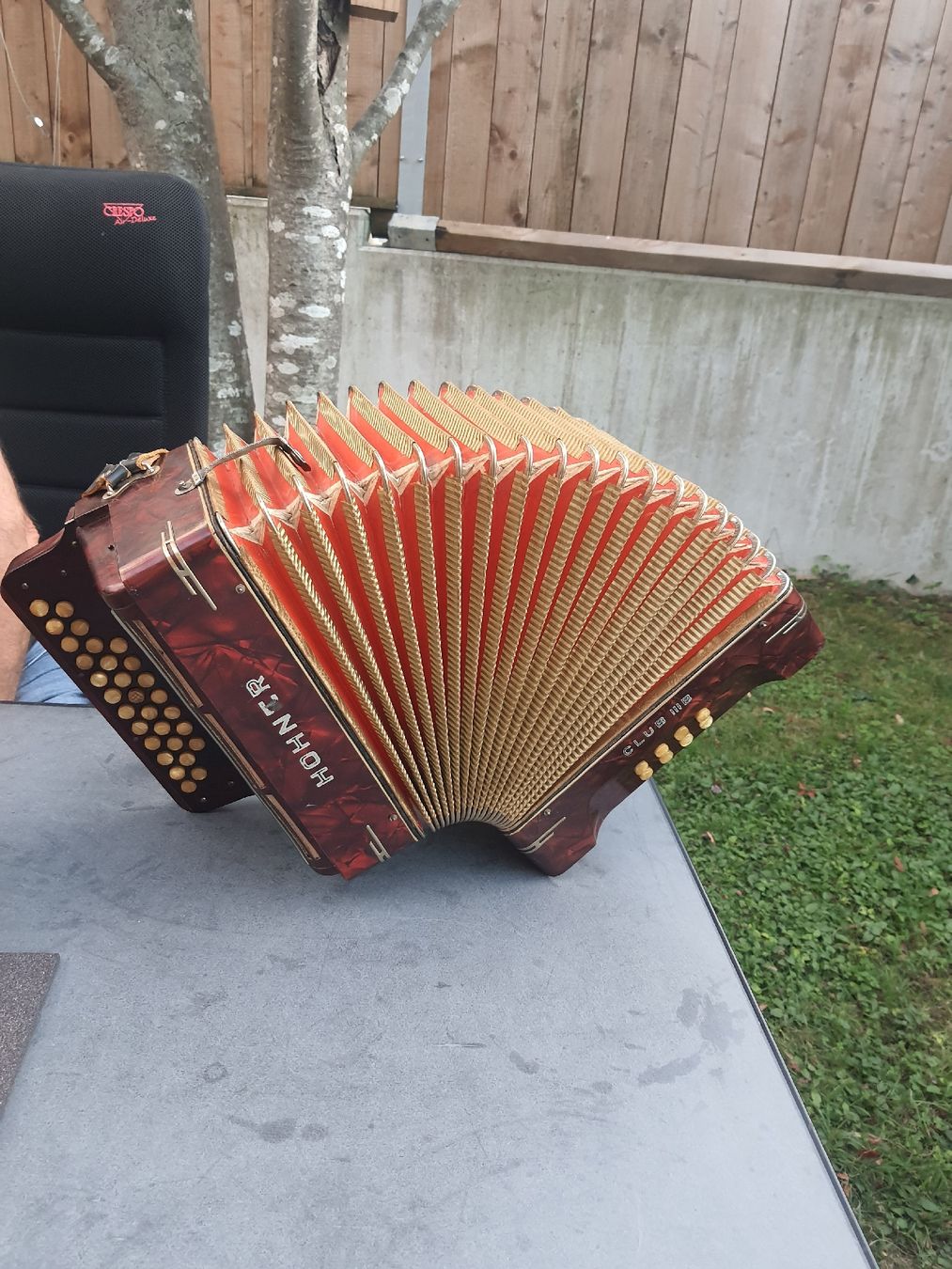 Hohner Strumenti musicali: accordéon hohner norma diatonique  – Usato da Pont-de-la-Morge venduto da Mirabelle0 6