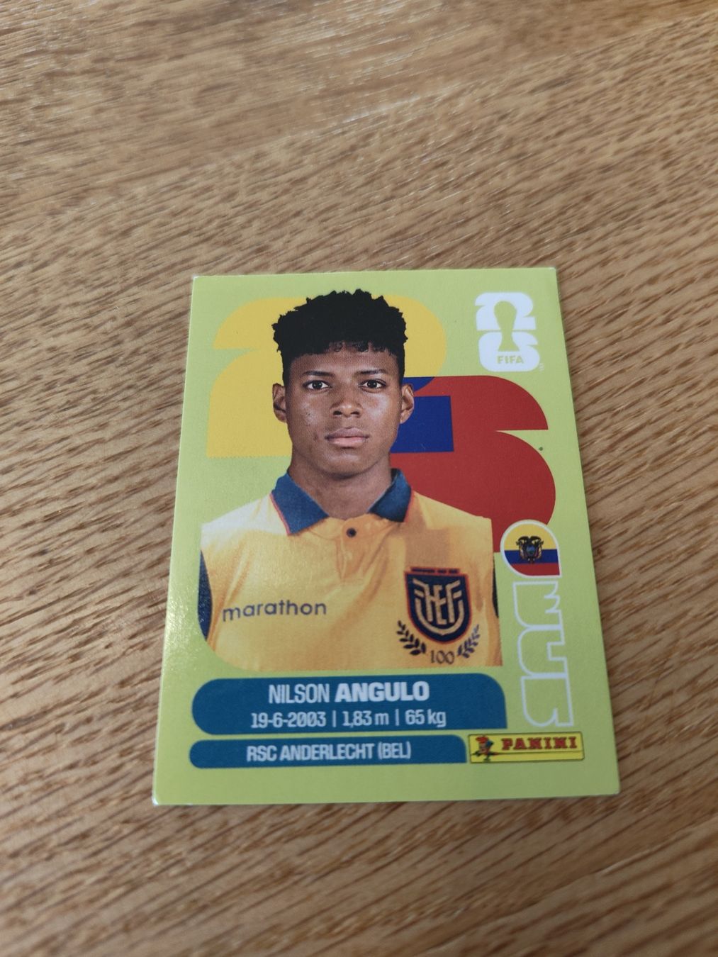 Panini Carte collezionabili: Panini Wm 2026 Ecu 17 – Nuovo (secondo la descrizione) da Lieli venduto da Maholo