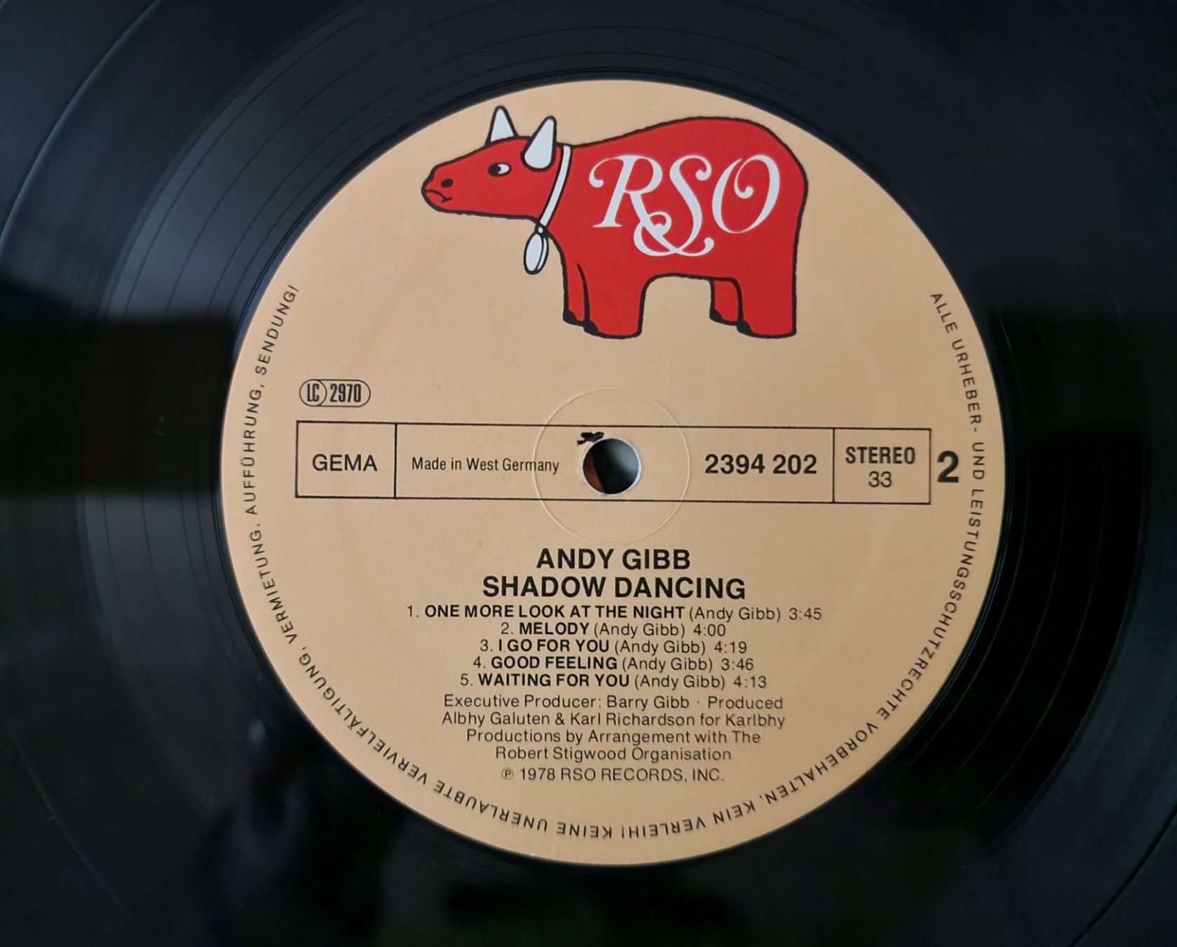 Dischi in vinile: Andy Gibb LP – Shadow Dancing – Usato da Root venduto da atelier22 2