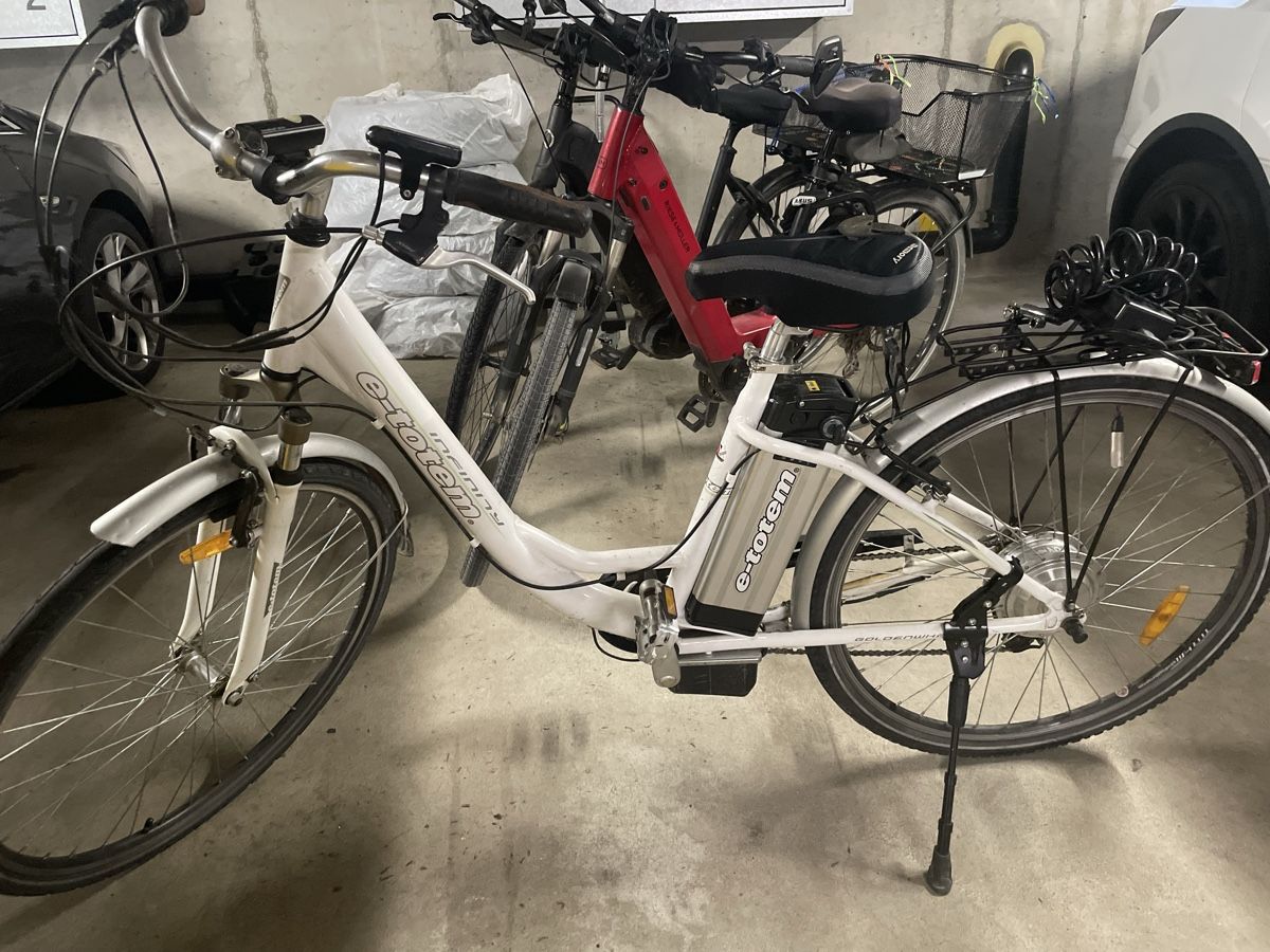 Totem Velos: E Totem E Bike Defekt – Defekt aus Elgg von M-A-C