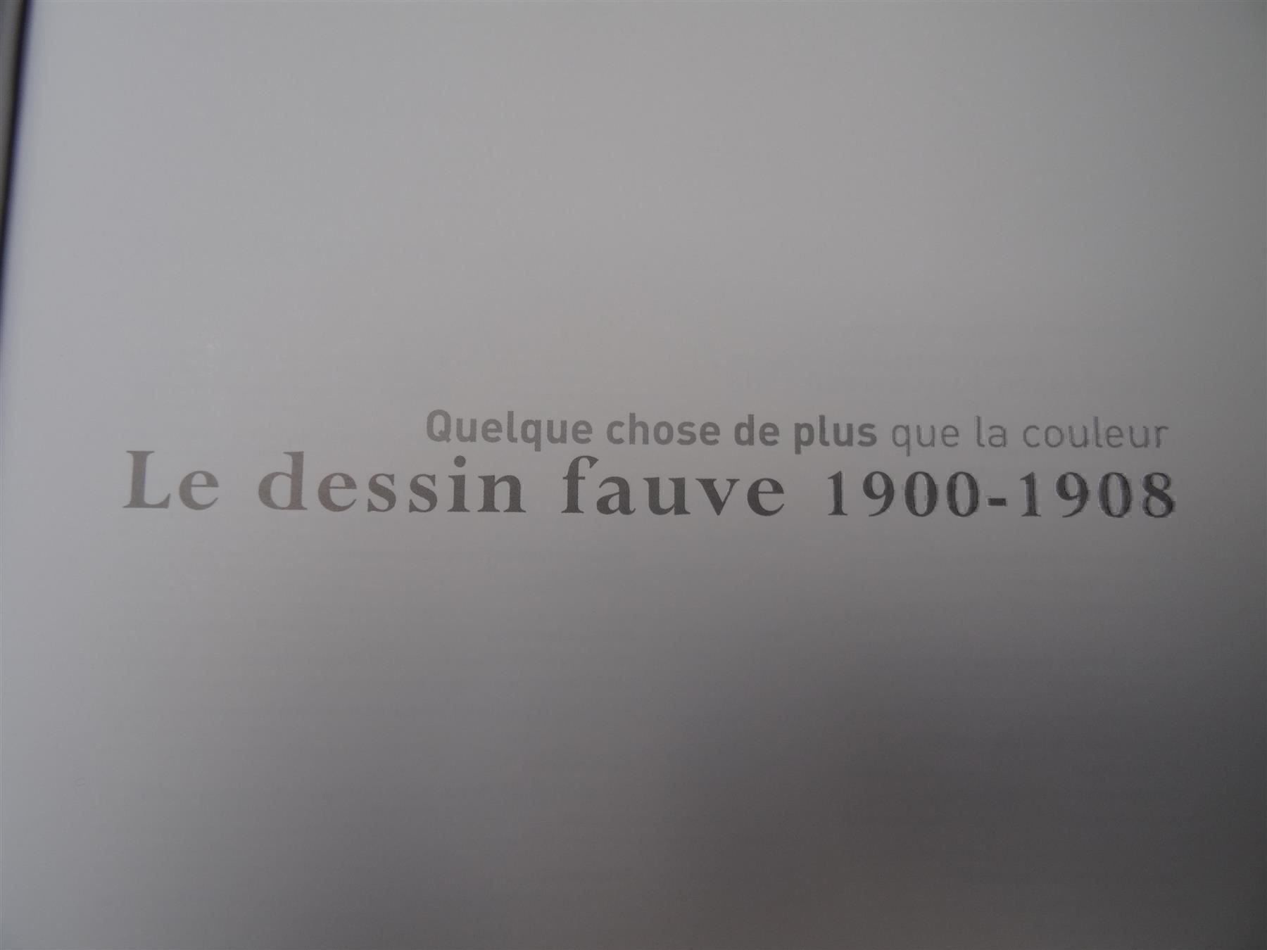 Libri: Quelque chose de plus que la couleur – Usato da Lupfig venduto da Buerkli20 4