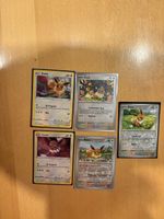 Pokémon Evoli-Bundle - verschiedene Sets - EN+DEU