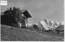 Beatenberg - Bauernhaus, Chalet,